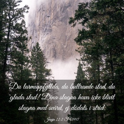 Picture 03 - Jesaja 22:2 SV1917 - Du larmuppfyllda, du bullrande stad, du glada - Bible Verse Picture