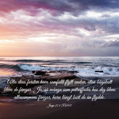 Picture 03 - Jesaja 22:3 SV1917 - Alla dina furstar hava samfällt flytt undan, - Bible Verse Picture