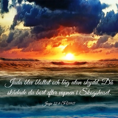 Picture 03 - Jesaja 22:8 SV1917 - Juda blev blottat och låg utan skydd. Då - Bible Verse Picture