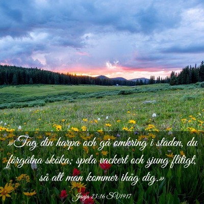 Picture 03 - Jesaja 23:16 SV1917 - »Tag din harpa och gå omkring i staden, du - Bible Verse Picture
