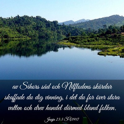 Picture 03 - Jesaja 23:3 SV1917 - av Sihors säd och Nilflodens skördar skaffade - Bible Verse Picture