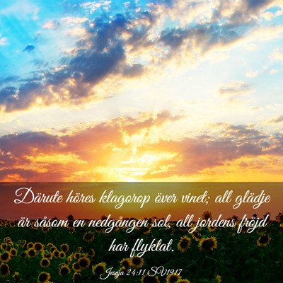 Picture 03 - Jesaja 24:11 SV1917 - Därute höres klagorop över vinet; all glädje - Bible Verse Picture