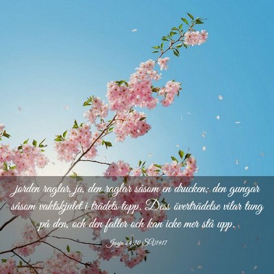Picture 03 - Jesaja 24:20 SV1917 - jorden raglar, ja, den raglar såsom en drucken; - Bible Verse Picture
