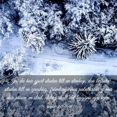 Picture 03 - Jesaja 25:2 SV1917 - Ja, du har gjort staden till en stenhop, den - Bible Verse Picture
