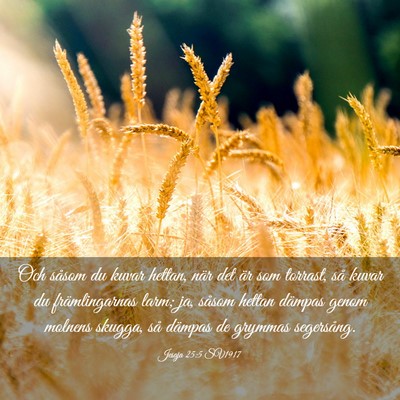 Picture 03 - Jesaja 25:5 SV1917 - Och såsom du kuvar hettan, när det är som - Bible Verse Picture