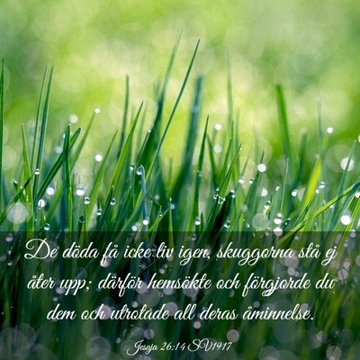 Picture 03 - Jesaja 26:14 SV1917 - De döda få icke liv igen, skuggorna stå ej - Bible Verse Picture