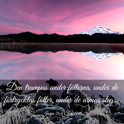 Picture 03 - Jesaja 26:6 SV1917 - Den trampas under fötterna, under de - Bible Verse Picture