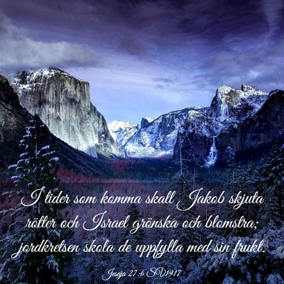Picture 03 - Jesaja 27:6 SV1917 - I tider som komma skall Jakob skjuta rötter och - Bible Verse Picture