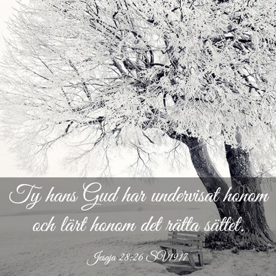 Picture 03 - Jesaja 28:26 SV1917 - Ty hans Gud har undervisat honom och lärt honom - Bible Verse Picture