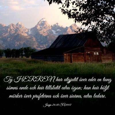 Picture 03 - Jesaja 29:10 SV1917 - Ty HERREN har utgjutit över eder en tung sömns - Bible Verse Picture