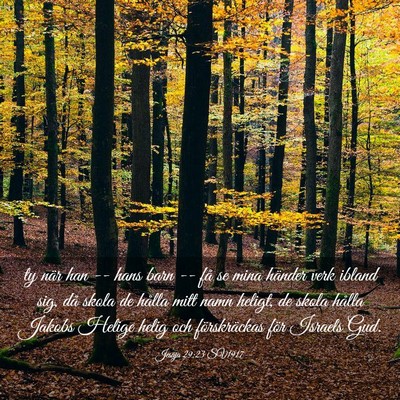 Picture 03 - Jesaja 29:23 SV1917 - ty när han -- hans barn -- få se mina händer - Bible Verse Picture