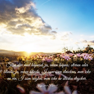 Picture 03 - Jesaja 29:9 SV1917 - Stån där med häpnad, ja, varen häpna; stirren - Bible Verse Picture