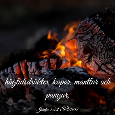 Picture 03 - Jesaja 3:22 SV1917 - högtidsdräkter, kåpor, mantlar och - Bible Verse Picture