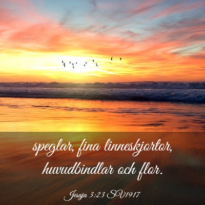 Picture 03 - Jesaja 3:23 SV1917 - speglar, fina linneskjortor, huvudbindlar och - Bible Verse Picture