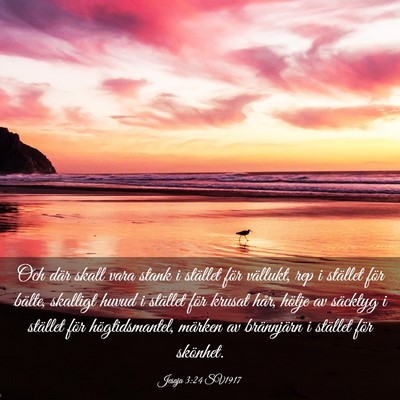 Picture 03 - Jesaja 3:24 SV1917 - Och där skall vara stank i stället för - Bible Verse Picture