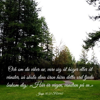 Picture 03 - Jesaja 30:21 SV1917 - Och om du viker av, vare sig åt höger eller åt - Bible Verse Picture