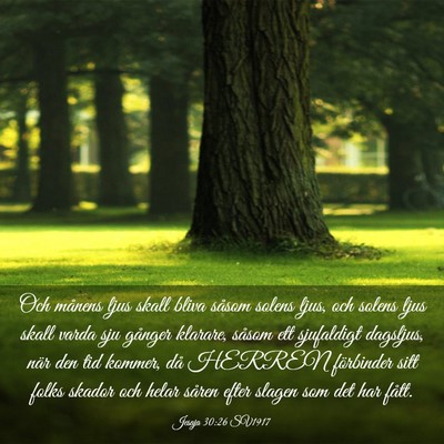 Picture 03 - Jesaja 30:26 SV1917 - Och månens ljus skall bliva såsom solens ljus, - Bible Verse Picture