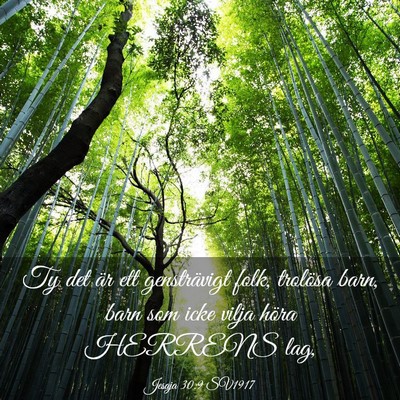 Picture 03 - Jesaja 30:9 SV1917 - Ty det är ett gensträvigt folk, trolösa barn, - Bible Verse Picture
