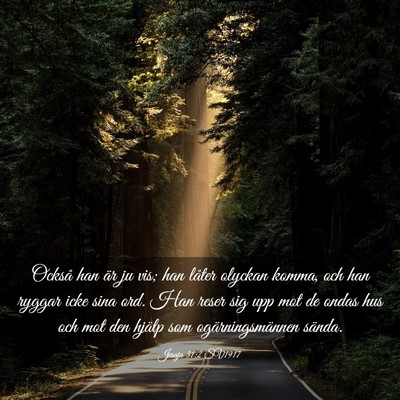 Picture 03 - Jesaja 31:2 SV1917 - Också han är ju vis; han låter olyckan komma, - Bible Verse Picture
