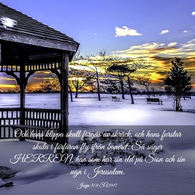 Picture 03 - Jesaja 31:9 SV1917 - Och hans klippa skall förgås av skräck, och - Bible Verse Picture