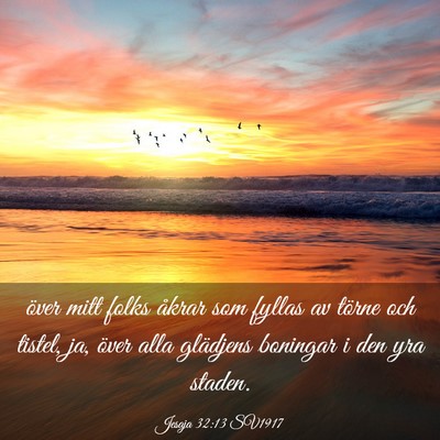 Picture 03 - Jesaja 32:13 SV1917 - över mitt folks åkrar som fyllas av törne och - Bible Verse Picture