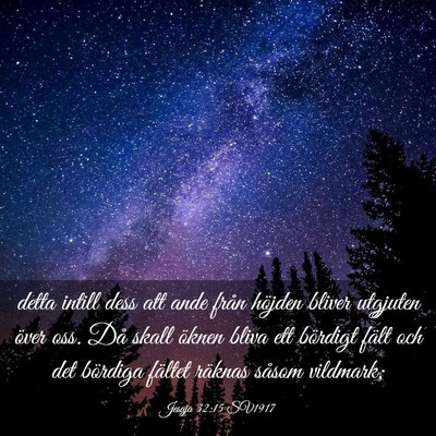 Picture 03 - Jesaja 32:15 SV1917 - detta intill dess att ande från höjden bliver - Bible Verse Picture