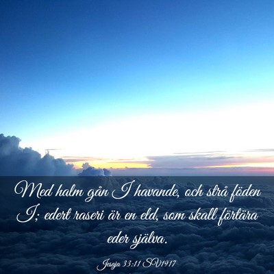 Picture 03 - Jesaja 33:11 SV1917 - Med halm gån I havande, och strå föden I; - Bible Verse Picture