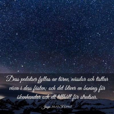 Picture 03 - Jesaja 34:13 SV1917 - Dess palatser fyllas av törne, nässlor och - Bible Verse Picture
