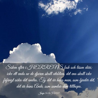 Picture 03 - Jesaja 34:16 SV1917 - Söken efter i HERRENS bok och läsen däri; icke - Bible Verse Picture