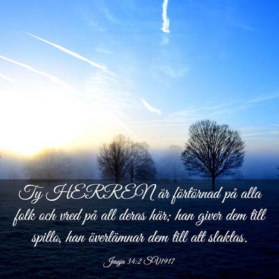 Picture 03 - Jesaja 34:2 SV1917 - Ty HERREN är förtörnad på alla folk och vred - Bible Verse Picture