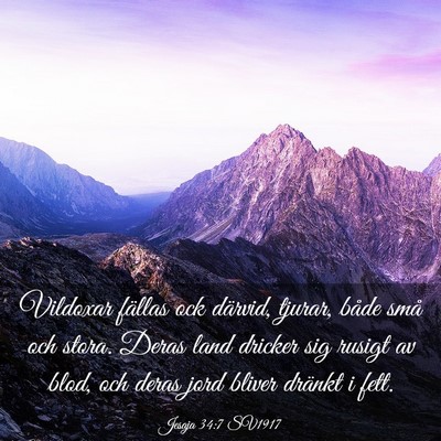 Picture 03 - Jesaja 34:7 SV1917 - Vildoxar fällas ock därvid, tjurar, både små - Bible Verse Picture