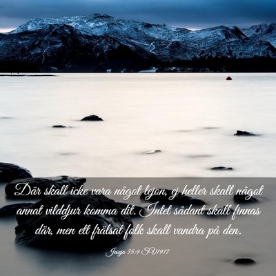 Picture 03 - Jesaja 35:9 SV1917 - Där skall icke vara något lejon, ej heller - Bible Verse Picture