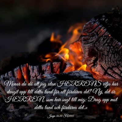 Picture 03 - Jesaja 36:10 SV1917 - Menar du då att jag utan HERRENS vilja har - Bible Verse Picture