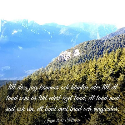 Picture 03 - Jesaja 36:17 SV1917 - till dess jag kommer och hämtar eder till ett - Bible Verse Picture