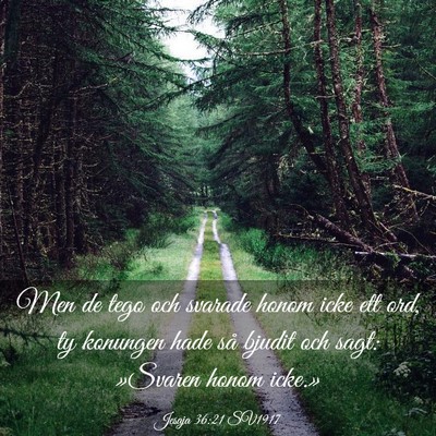 Picture 03 - Jesaja 36:21 SV1917 - Men de tego och svarade honom icke ett ord, ty - Bible Verse Picture