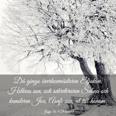 Picture 03 - Jesaja 36:3 SV1917 - Då gingo överhovmästaren Eljakim, Hilkias son, - Bible Verse Picture
