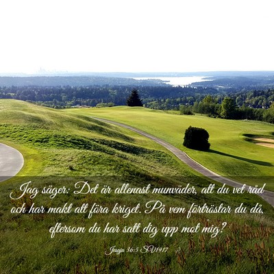 Picture 03 - Jesaja 36:5 SV1917 - Jag säger: Det är allenast munväder, att du - Bible Verse Picture