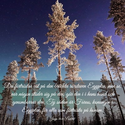 Picture 03 - Jesaja 36:6 SV1917 - Du förtröstar väl på den bräckta rörstaven - Bible Verse Picture