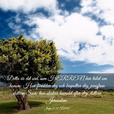 Picture 03 - Jesaja 37:22 SV1917 - Detta är det ord, som HERREN har talat om honom: - Bible Verse Picture