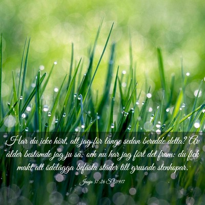 Picture 03 - Jesaja 37:26 SV1917 - Har du icke hört, att jag för länge sedan - Bible Verse Picture