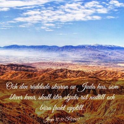 Picture 03 - Jesaja 37:31 SV1917 - Och den räddade skaran av Juda hus, som bliver - Bible Verse Picture