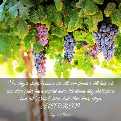 Picture 03 - Jesaja 39:6 SV1917 - Se, dagar skola komma, då allt som finnes i ditt - Bible Verse Picture