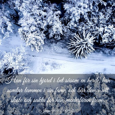 Picture 03 - Jesaja 40:11 SV1917 - Han för sin hjord i bet såsom en herde, han - Bible Verse Picture