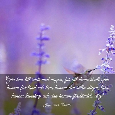Picture 03 - Jesaja 40:14 SV1917 - Går han till råds med någon, för att denne - Bible Verse Picture