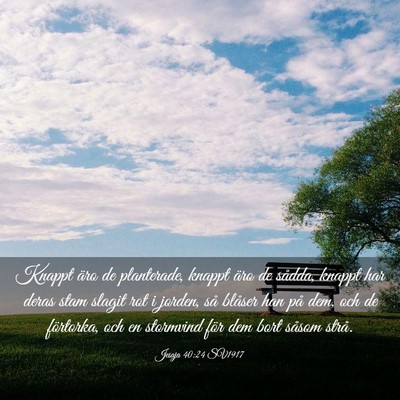 Picture 03 - Jesaja 40:24 SV1917 - Knappt äro de planterade, knappt äro de sådda, - Bible Verse Picture