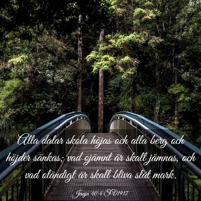 Picture 03 - Jesaja 40:4 SV1917 - Alla dalar skola höjas och alla berg och höjder - Bible Verse Picture