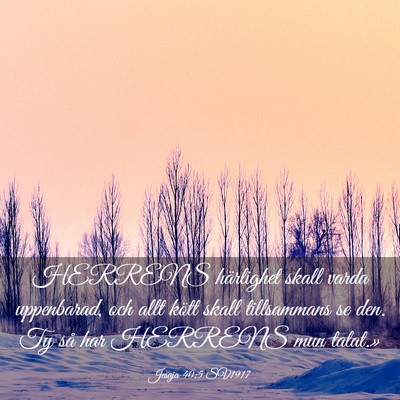 Picture 03 - Jesaja 40:5 SV1917 - HERRENS härlighet skall varda uppenbarad, och - Bible Verse Picture