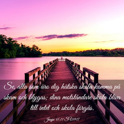 Picture 03 - Jesaja 41:11 SV1917 - Se, alla som äro dig hätska skola komma på - Bible Verse Picture