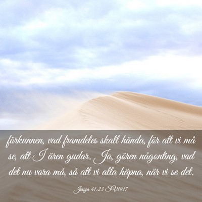 Picture 03 - Jesaja 41:23 SV1917 - förkunnen, vad framdeles skall hända, för att - Bible Verse Picture