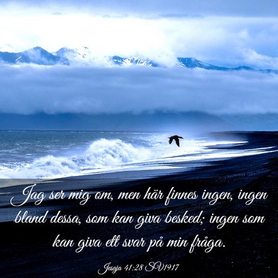Picture 03 - Jesaja 41:28 SV1917 - Jag ser mig om, men här finnes ingen, ingen - Bible Verse Picture